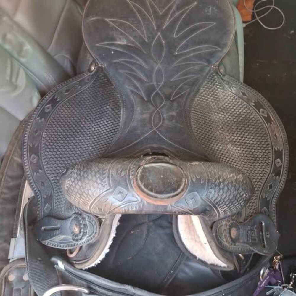 Horse Saddle